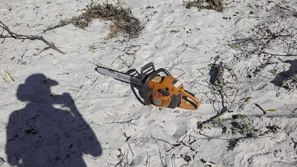 [Movie: Thanks, Wild Green Future, for the grant that bought this Husqvarna 24-inch 460 Rancher chainsaw, 2026:02:14 14:35:52, 30.8642261, -83.3200575 (29M)]