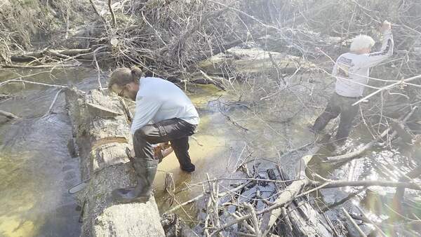 [Movie: A second cut, 2026:02:14 15:16:36, 30.8638681, -83.3209743 (4.4M) #]