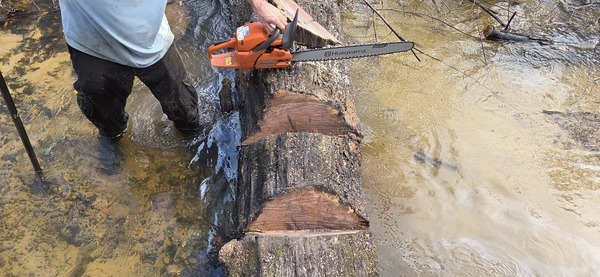 Still not loose, 2026:02:14 15:36:00, 30.8638855, -83.3210195