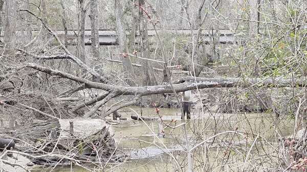 Movie: Phil sawing the last deadfall of the day, 2026:02:14 16:16:12, 30.8638799, -83.3210403 (31M)