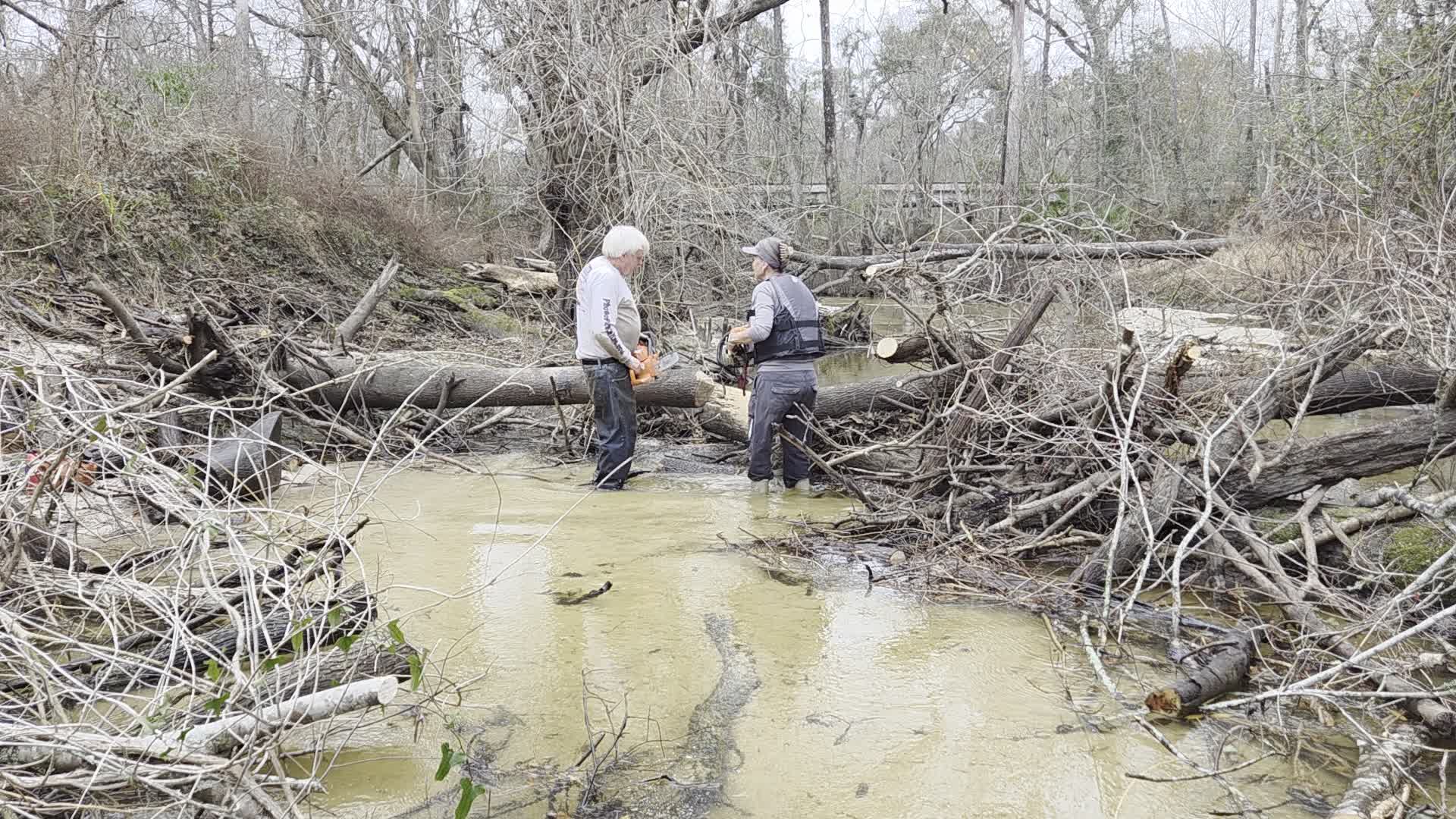 Movie: Got the Stihl loose, 2026:02:14 15:53:04, 30.8638074, -83.3210007 (3.7M)