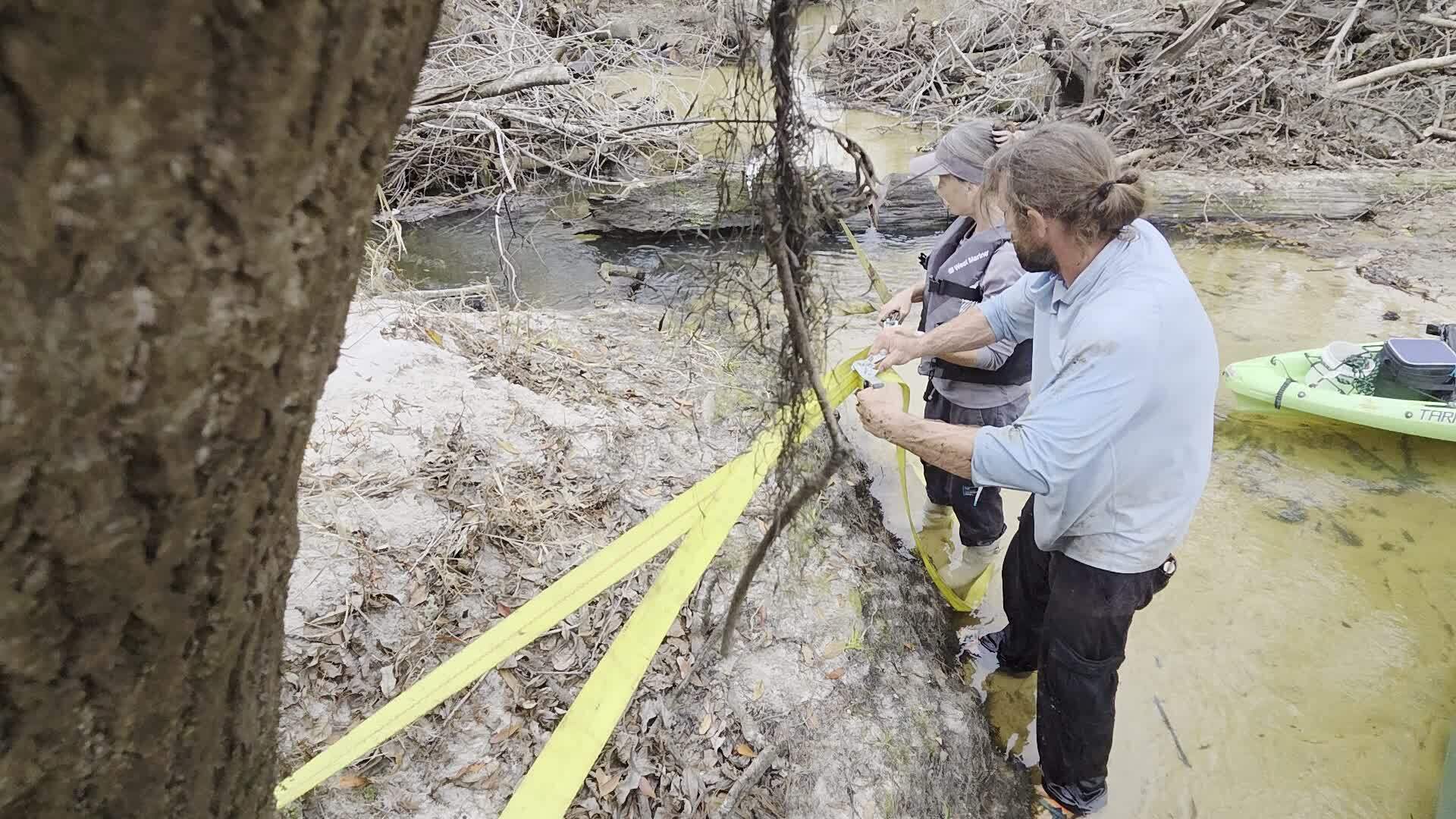 Movie: Attach to an anchor tree, 2026:02:14 16:21:56, 30.8638955, -83.3209515 (54M)