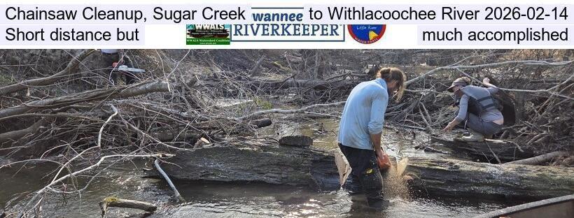 Chainsaw Cleanup, Sugar Creek to Withlacoochee River, Short distance but much accomplished