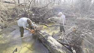 [Movie: Saw some more, 2026:02:14 15:15:26, 30.8638681, -83.3209743 (4.6M) #]