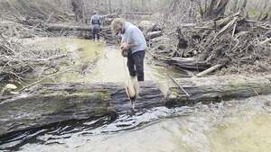 [Movie: Saw from downstream, 2026:02:14 15:38:36, 30.8638855, -83.3210195 (13M) #]