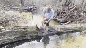 [Movie: Tish gets another log, 2026:02:14 15:39:45, 30.8638855, -83.3210195 (29M)]