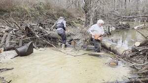 [Movie: Tish Hall moving logs; Phil Hubbard sawing, 2026:02:14 15:57:42, 30.8639055, -83.3210292 (7.0M)]