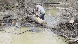 [Movie: Cut another log, 2026:02:14 15:59:39, 30.8639055, -83.3210292 (5.7M)]