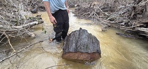 [The big log loose, 2026:02:14 16:54:43, 30.8638270, -83.3210404]