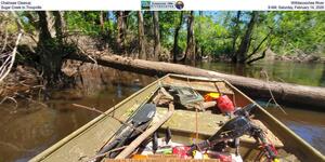 [Chainsaw Cleanup, Withlacoochee River, Sugar Creek to Troupville, 9 AM, Saturday, February 14, 2026]