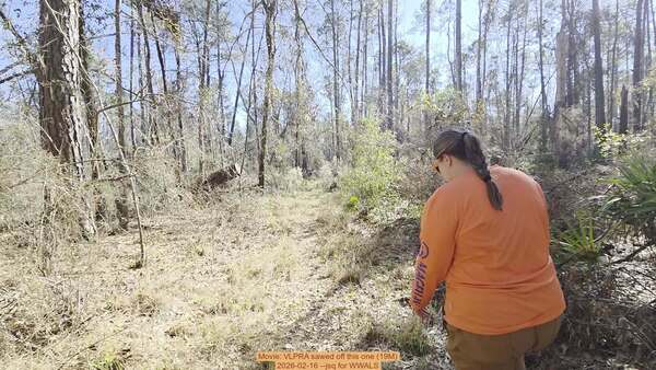 Movie: VLPRA sawed off this one (19M), 2026-02-16 --jsq for WWALS