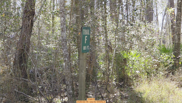 Trail F, 2026-02-16 --jsq for WWALS