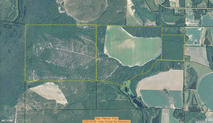 [Map: Fletcher Trust, 2026-02-26 --Irwin County Tax Assessors]