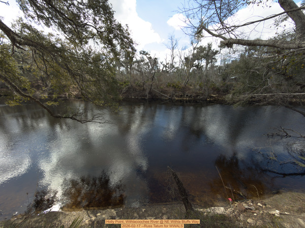 [Holly Point, Withlacoochee River @ NE Withla Bluffs Way 2026-02-17 --Russ Tatum for WWALS]