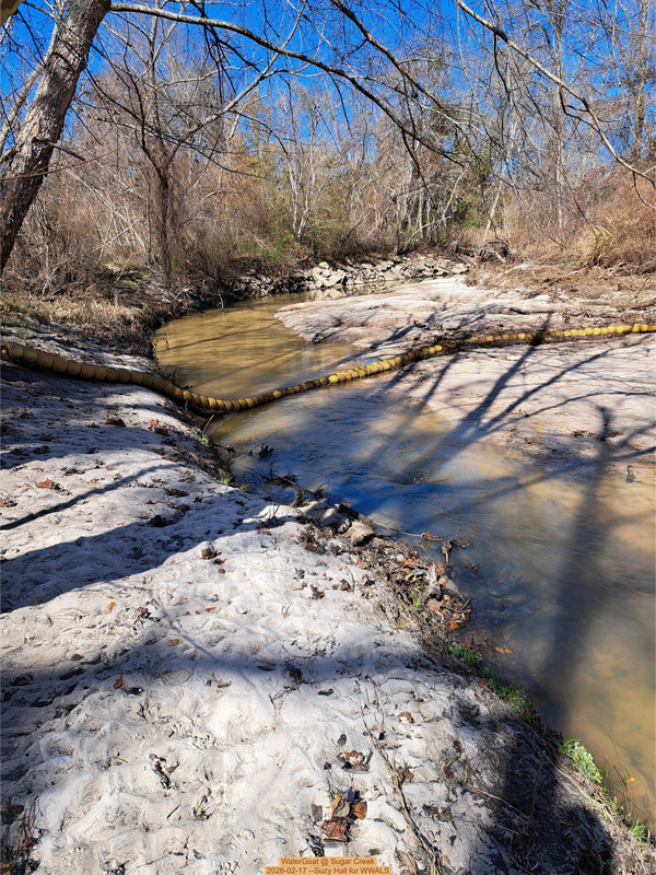 WaterGoat @ Sugar Creek, 2026-02-17 --Suzy Hall for WWALS