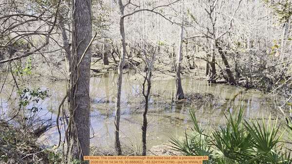 Movie: The creek out of Foxborough that tested bad after a previous rain, 2026:02:16 14:34:19, 30.8880622, -83.3241144 (11M) --jsq for WWALS
