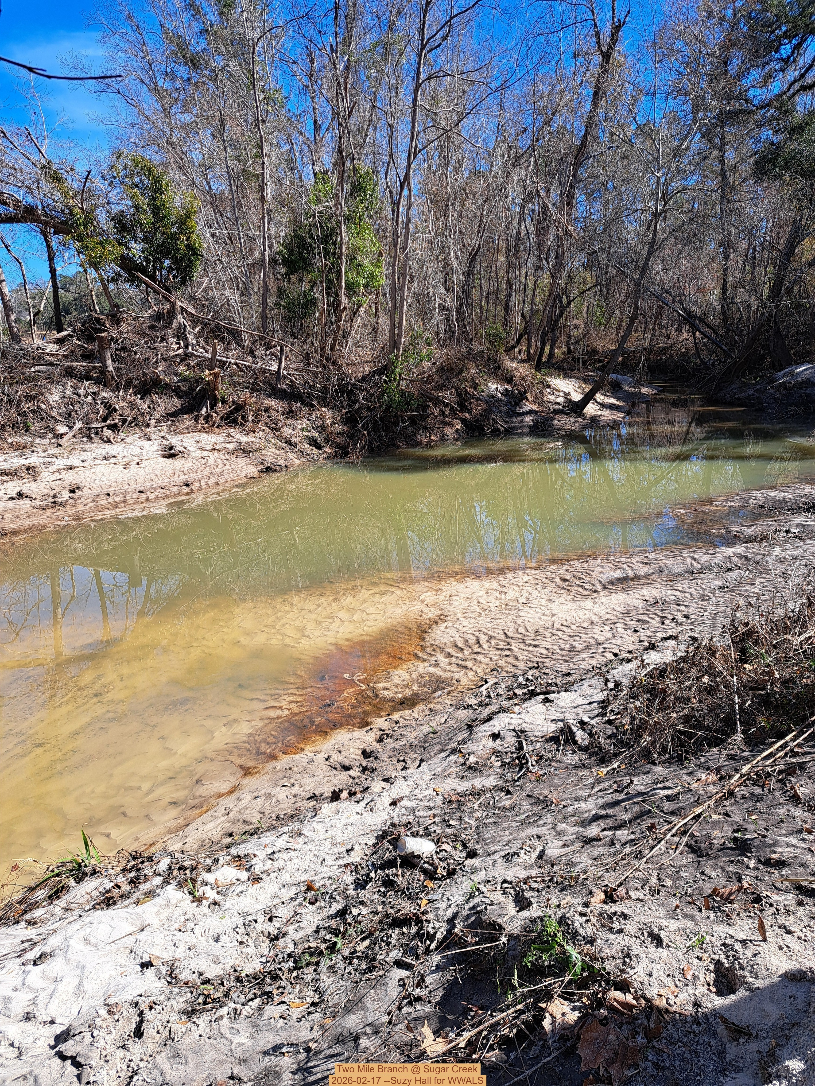 Two Mile Branch @ Sugar Creek, 2026-02-17 --Suzy Hall for WWALS