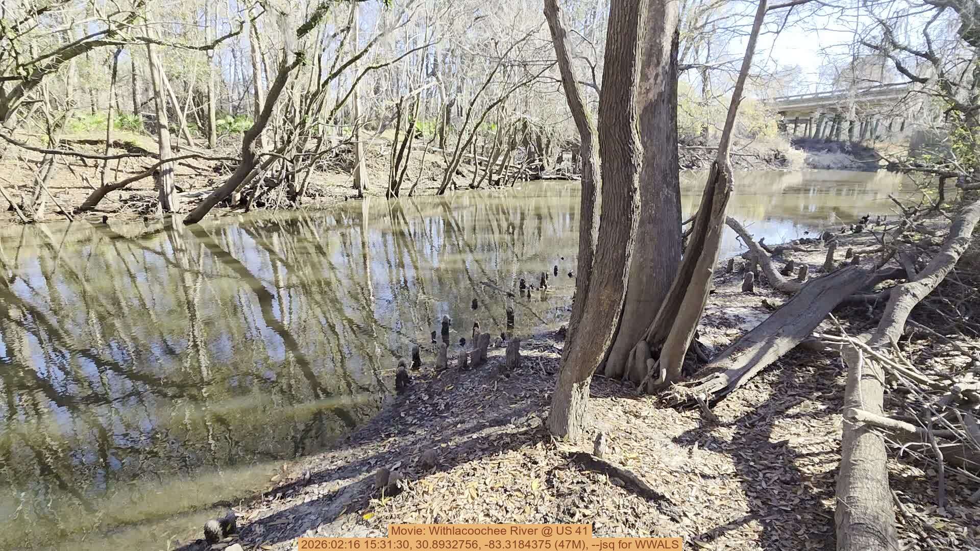 Movie: Withlacoochee River @ US 41, 2026:02:16 15:31:30, 30.8932756, -83.3184375 (47M), --jsq for WWALS