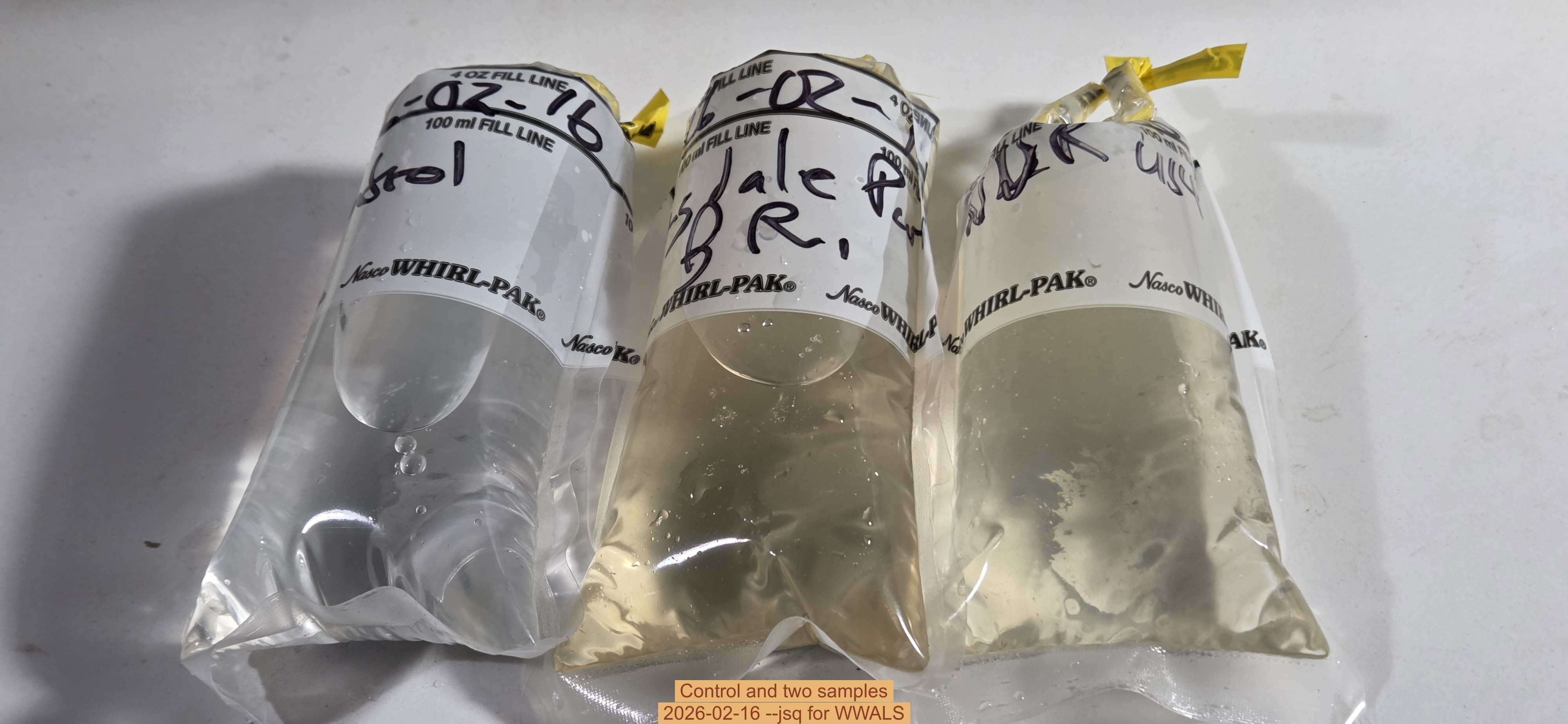 Control and two samples, 2026-02-16 --jsq for WWALS