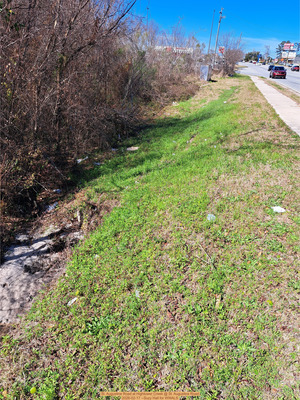 [St. Augustine Road at Hightower Creek @ St. Augustine Road 2026-02-17 --Suzy Hall for WWALS]