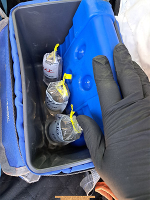 [Samples, Hightower Creek @ St. Augustine Road 2026-02-17 --Suzy Hall for WWALS]