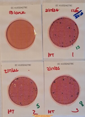 [Plates, Hightower Creek at St. Augustine Road 2026-02-17 --Suzy Hall for WWALS]