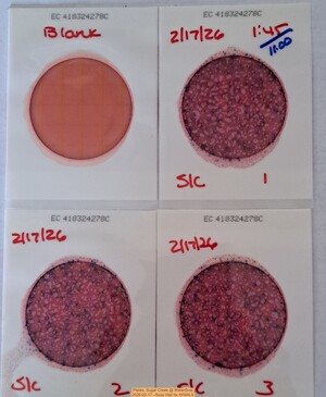 [Plates, Sugar Creek @ WaterGoat 2026-02-17 --Suzy Hall for WWALS]