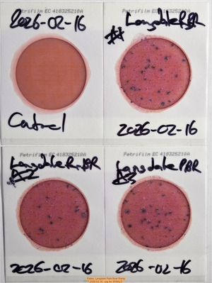 [Plates, Langdale Park Boat Ramp, 2026-02-16 --jsq for WWALS]