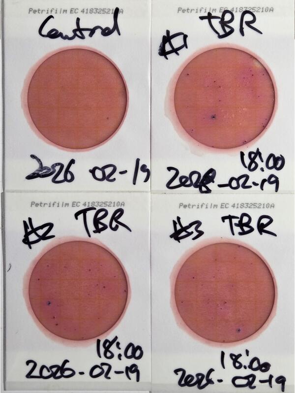Plates, Troupville Boat Ramp 2026-02-19 --jsq for WWALS