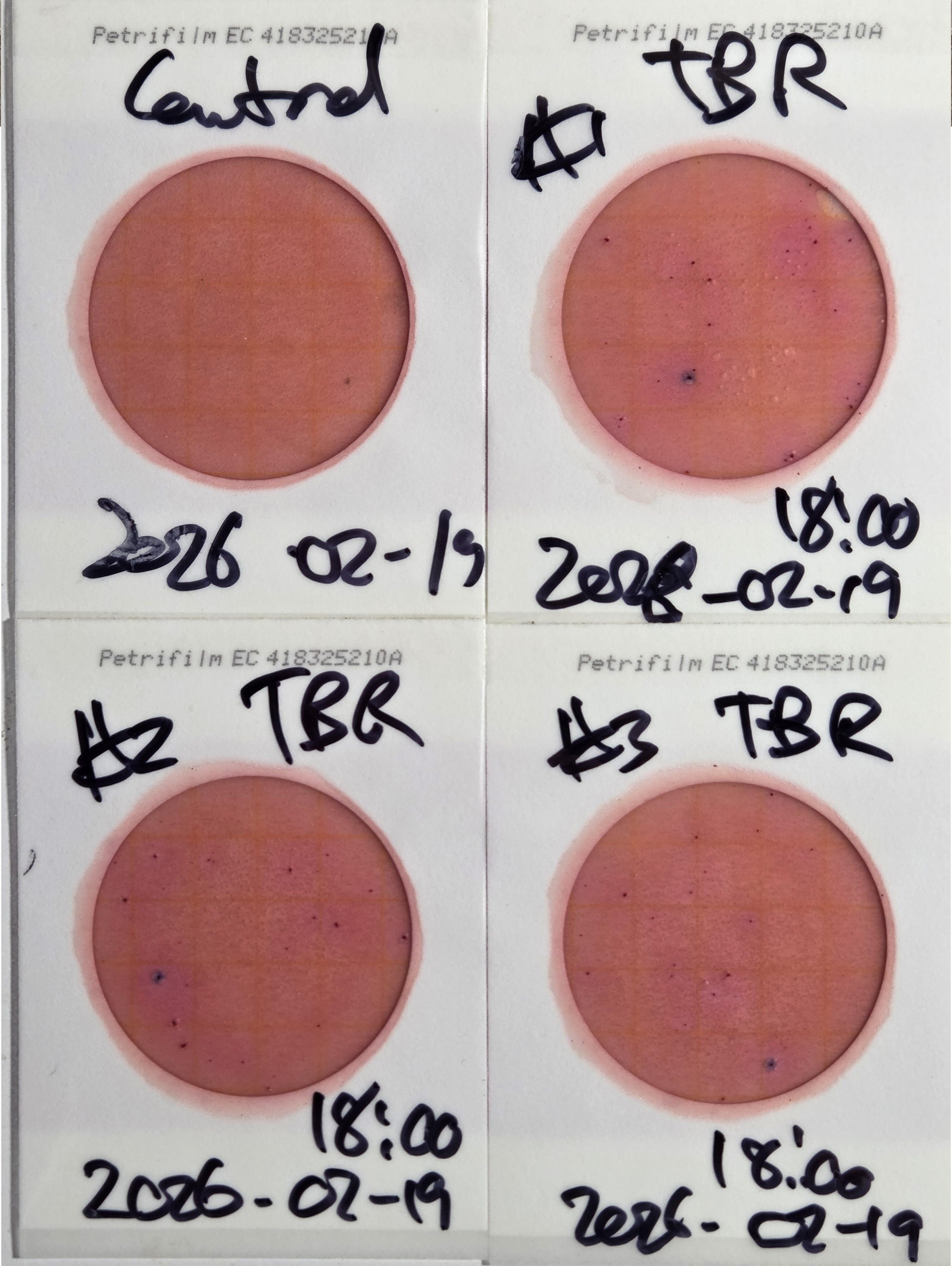 Plates, Troupville Boat Ramp 2026-02-19 --jsq for WWALS