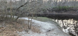 [Sample site, Langdale Park Boat Ramp, Withlacoochee River @ North Valdosta Road 2026-02-19 --jsq for WWALS]