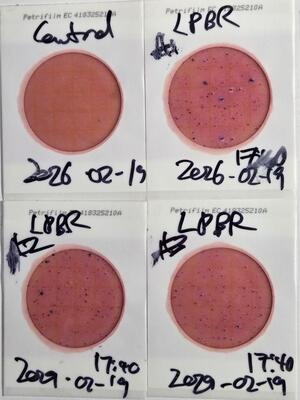 [Plates, Langdale Park Boat Ramp 2026-02-19 --jsq for WWALS]