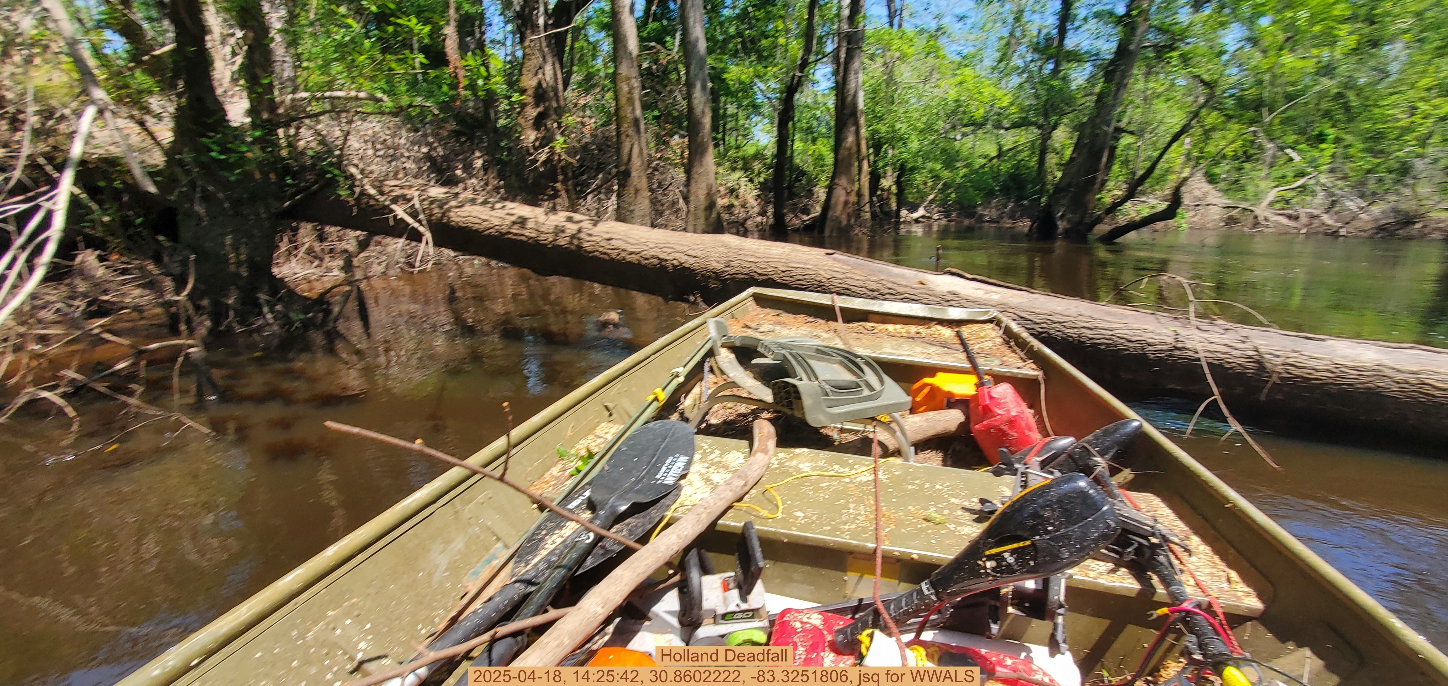 Holland Deadfall, 2025-04-18, 14:25:42, 30.8602222, -83.3251806, jsq for WWALS