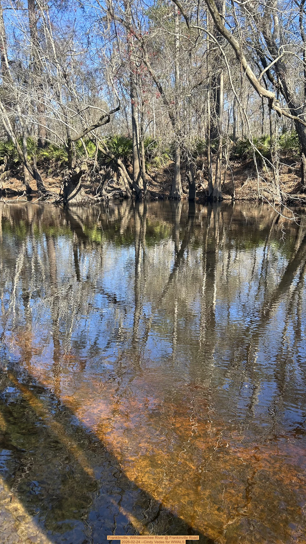 [Franklinville, Withlacoochee River @ Frankinville Road 2026-02-24 --Cindy Vedas for WWALS]