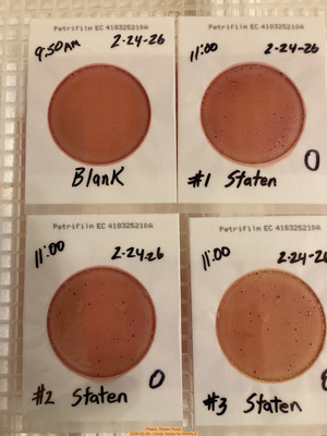 [Plates, Staten Road 2026-02-24 --Cindy Vedas for WWALS]