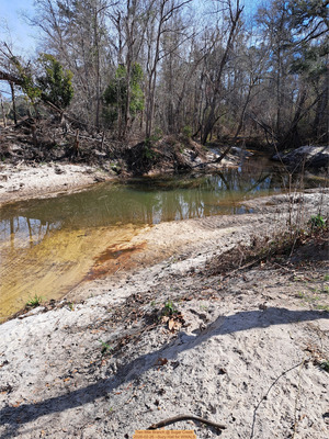 [Two Mile Branch @ Sugar Creek 2026-02-26 --Suzy Hall for WWALS]