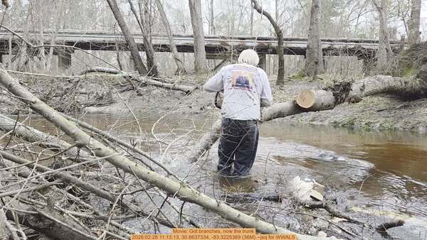 Movie: Got branches, now the trunk, 2026:02:28 11:13:13, 30.8637334, -83.3225369 (36M) --jsq for WWALS