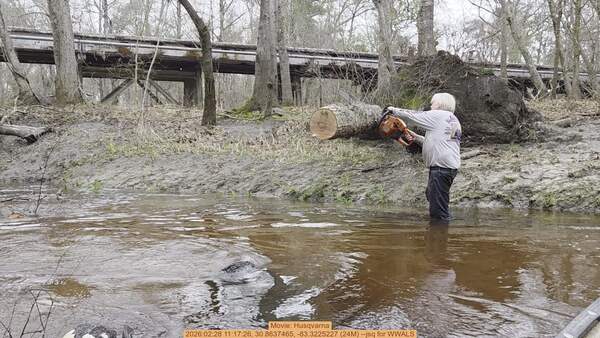 [Movie: Husqvarna, 2026:02:28 11:17:26, 30.8637465, -83.3225227 (24M) --jsq for WWALS]