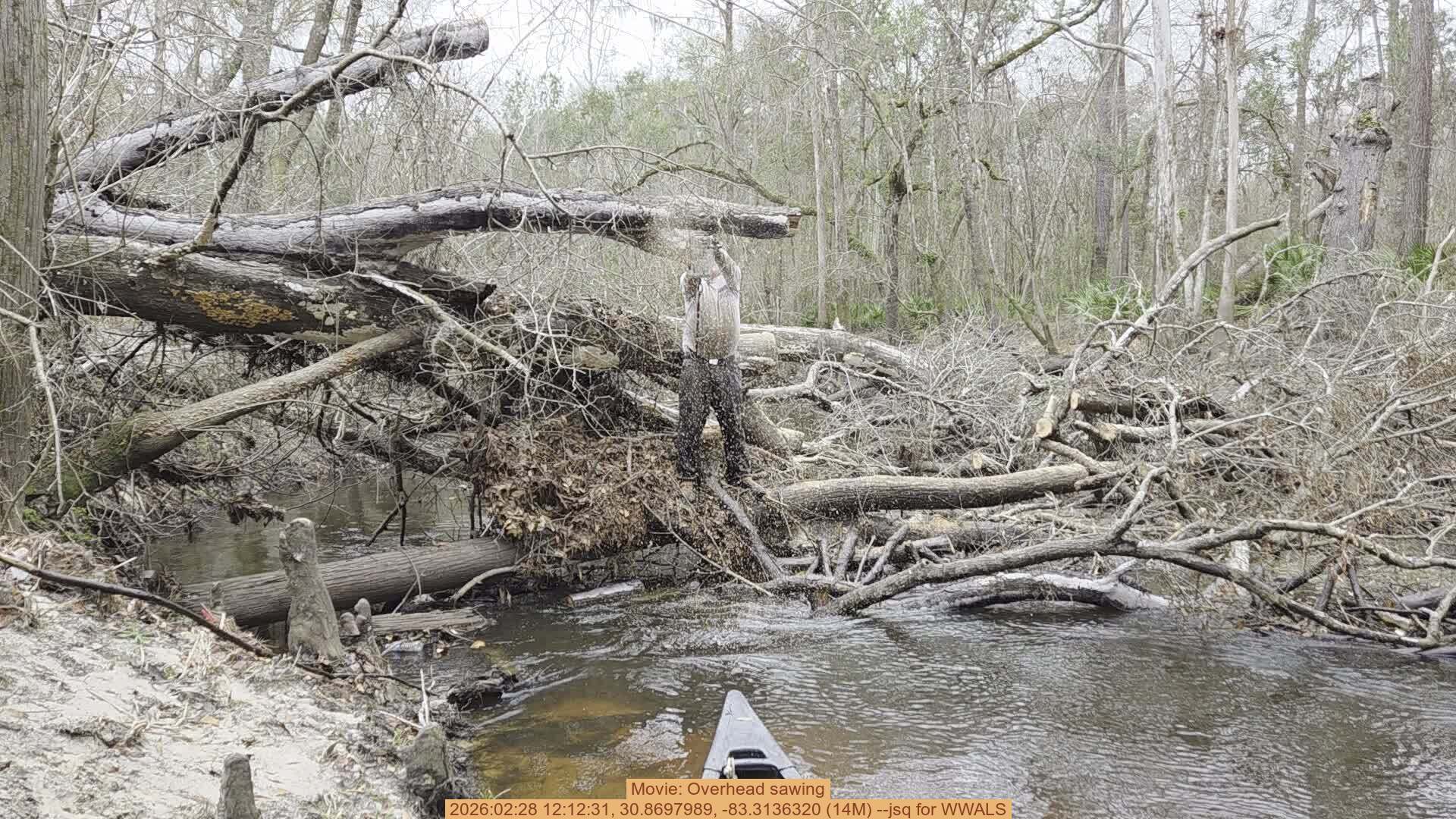 Movie: Overhead sawing, 2026:02:28 12:12:31, 30.8697989, -83.3136320 (14M) --jsq for WWALS