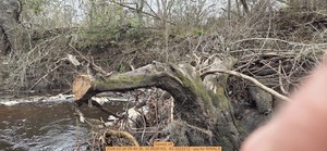 [Sawed off, 2026:02:28 09:48:38, 30.8628163, -83.3222212 --jsq for WWALS]