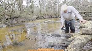 [Movie: Large piece loose now, 2026:02:28 09:54:12, 30.8629711, -83.3223248 (43M) --jsq for WWALS]