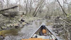 [Movie: Where the big logjam was, 2026:02:28 11:07:40, 30.8697989, -83.3136320 (14M) --jsq for WWALS]