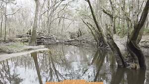 [Movie: More to do next time, 2026:02:28 12:24:46, 30.8629957, -83.3231114 (22M) --jsq for WWALS]