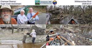 [Chainsaw Cleanup, Withlacoochee River, Sugar Creek downstream, 2026-02-21]