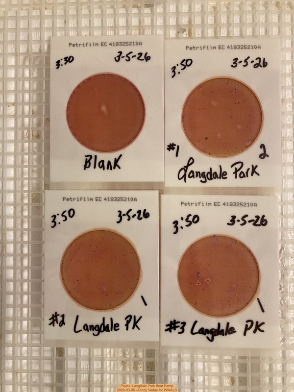 Plates, Langdale Park Boat Ramp 2026-03-05 --Cindy Vedas for WWALS