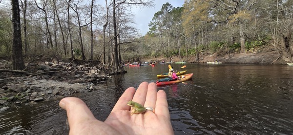 [Tree frog was in my seat, 2026:03:07 09:45:37, 30.8514691, -83.3475774 --jsq for WWALS]