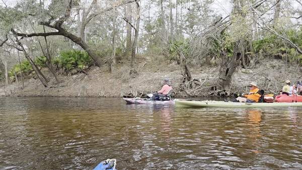Movie: Paddlers on the Withlacoochee River just below the Little River Confluence, 2026:03:07 10:01:14, 30.8469487, -83.3480246 (47M) --jsq for WWALS