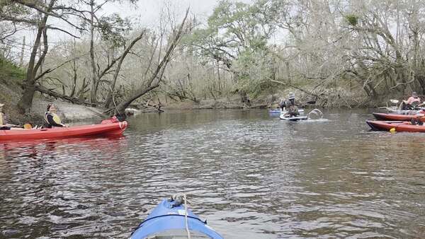 Movie: There is no snake, 2026:03:07 10:27:31, 30.8415068, -83.3527299 (15M) --jsq for WWALS