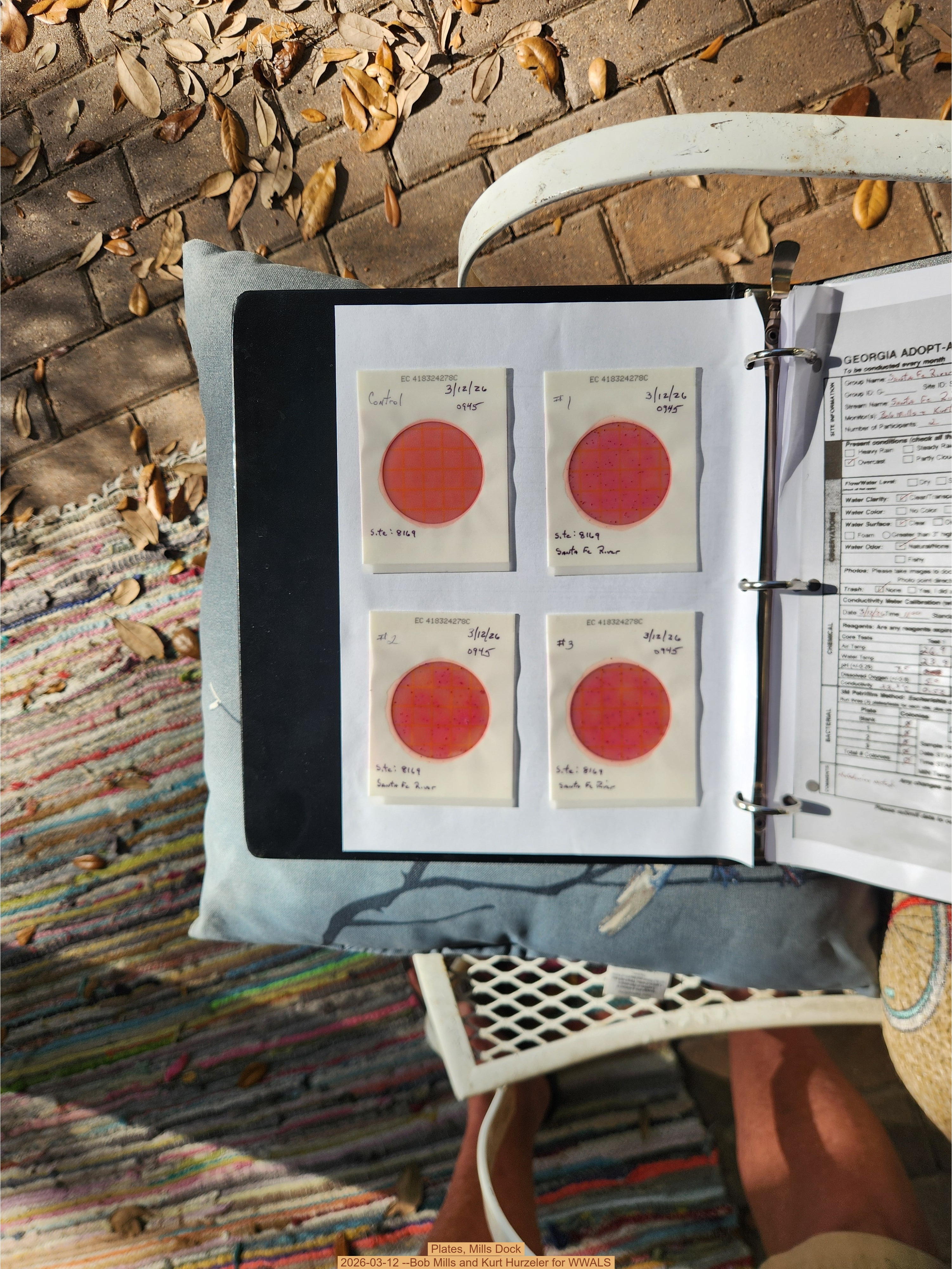 Plates, Mills Dock 2026-03-12 --Bob Mills and Kurt Hurzeler for WWALS