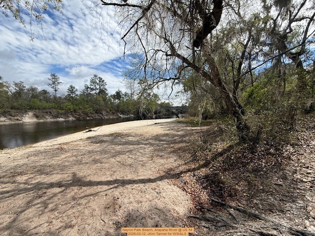 Naylor Park Beach, Alapaha River @ US 84 2026-03-12 --Kim Tanner for WWALS
